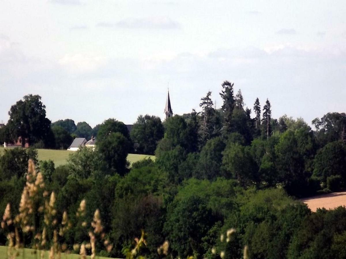 Logis De Chezelles Panzió Sidiailles Kültér fotó